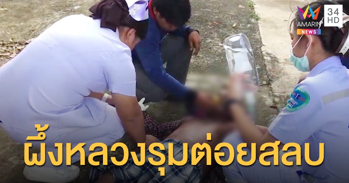 ผึ้งหลวงดุ! รำคาญเสียงเครื่องตัดหญ้า รุมต่อยลุงวัย 54 สลบไป 3 รอบ
