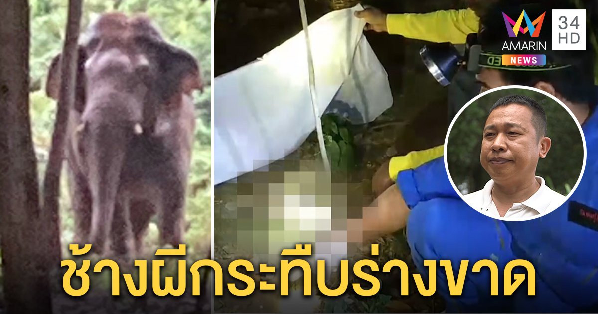 ผวา “ไอ้งาสั้น” กระทืบหนุ่มกรีดยางร่างแหลก รอยเท้าชัดเหยียบดับ 3 วัน 2 ศพ (คลิป)