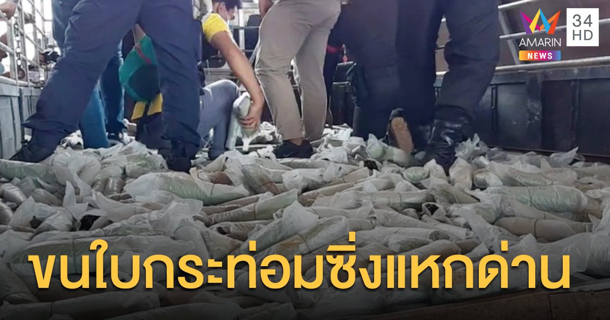 6 ล้อซิ่งแหกด่านสะเดา หนีไป 30 กม. ถูกยิงยางสิ้นฤทธิ์ ค้นเจอใบกระท่อม 344 กก.