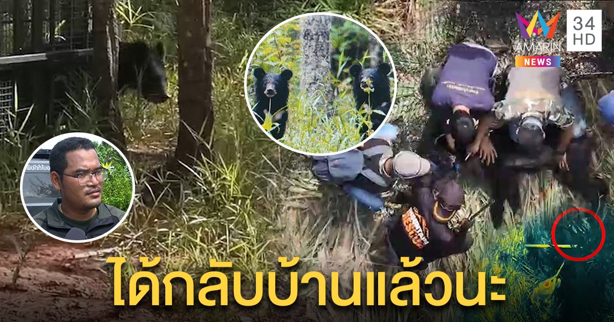 นาทีตื้นตัน! หมีควาย 3 แม่ลูกเดินกลับป่าใช้ชีวิตธรรมชาติ สิ้นสุดปฏิบัติการ 7 วัน (คลิป)