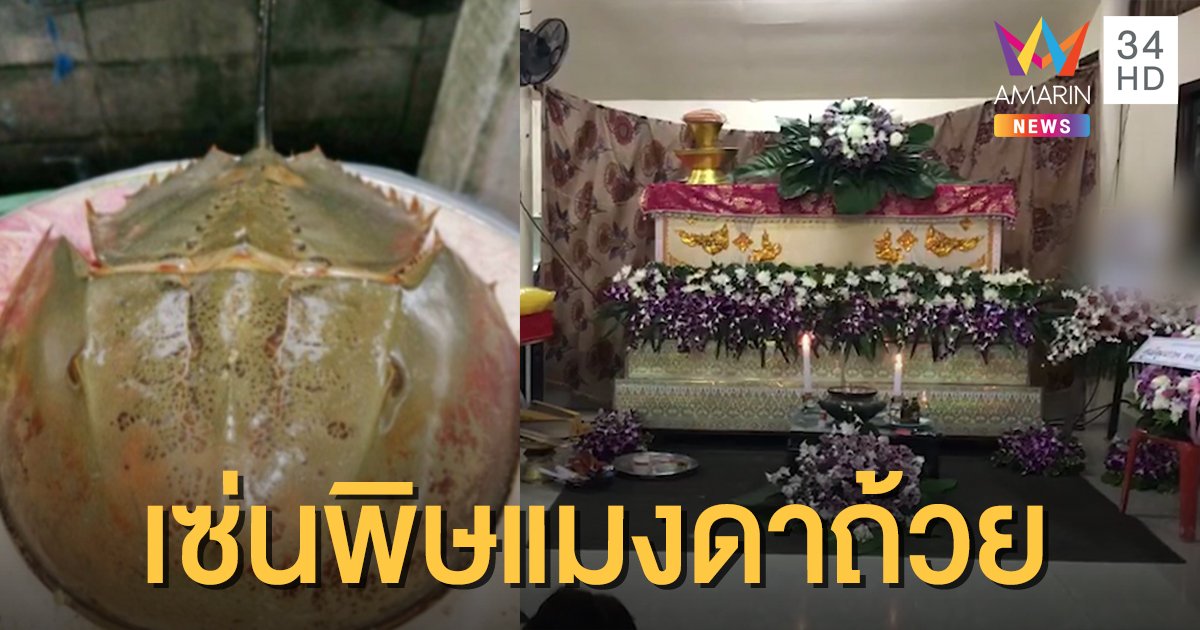 สาวกิน "แมงดาถ้วย" เจอพิษแรงโคม่า แต่หมอให้กลับบ้าน สุดท้ายช็อกดับ