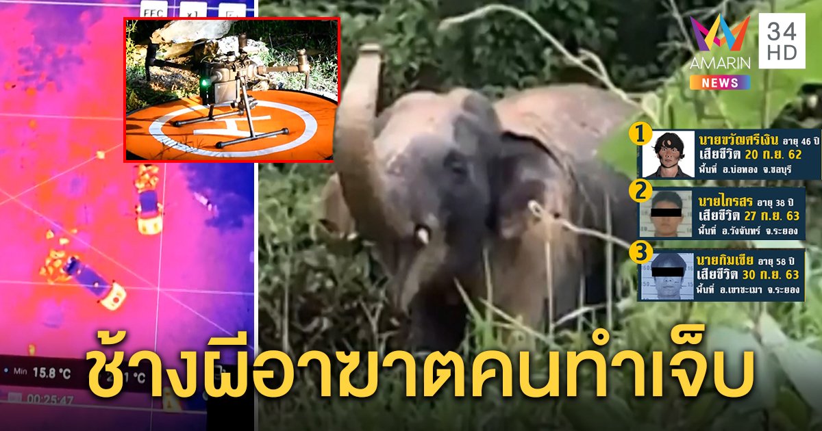 บินโดรนล่า “ไอ้งาสั้น” ช้างผีกระทืบดับ 3 ศพ ชาวบ้านเศร้าอดกรีดยาง กูรูชี้แค้นคนทำร้าย (คลิป)