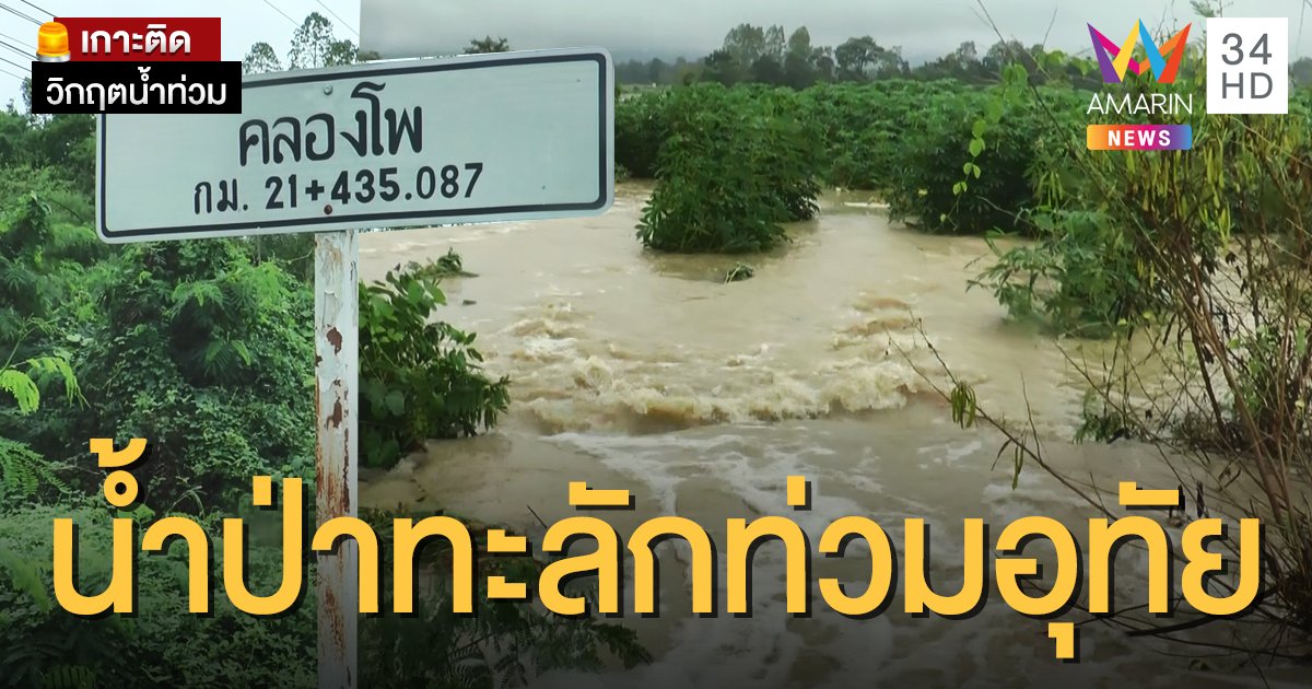 อุทัยธานีวิกฤต! น้ำป่าทะลักท่วม 115 หลังคาเรือน นาข้าว-ไร่มันจมบาดาล