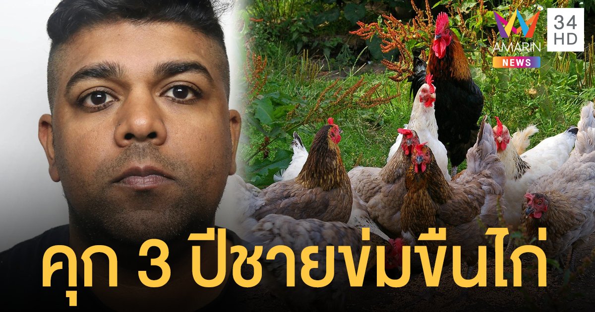 จำคุก 3 ปี หนุ่มอังกฤษขยี้กาม "ไก่" ให้เมียถ่ายคลิป-ร่วมมีเซ็กส์