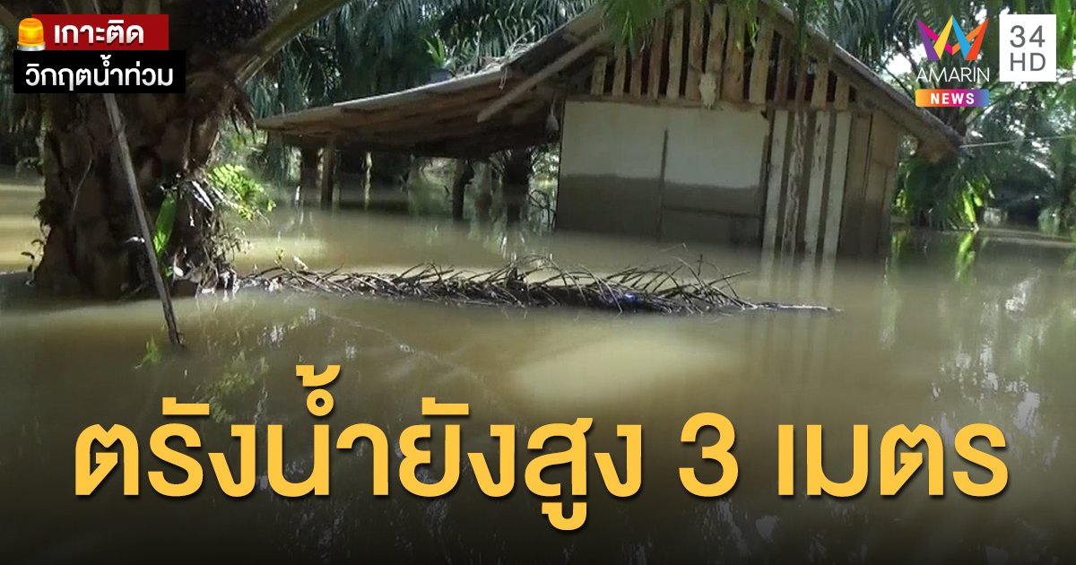 สองฝั่งแม่น้ำตรัง น้ำยังท่วมสูง 3 เมตร เขตเมืองคาดกลับเป็นปกติใน 1 สัปดาห์