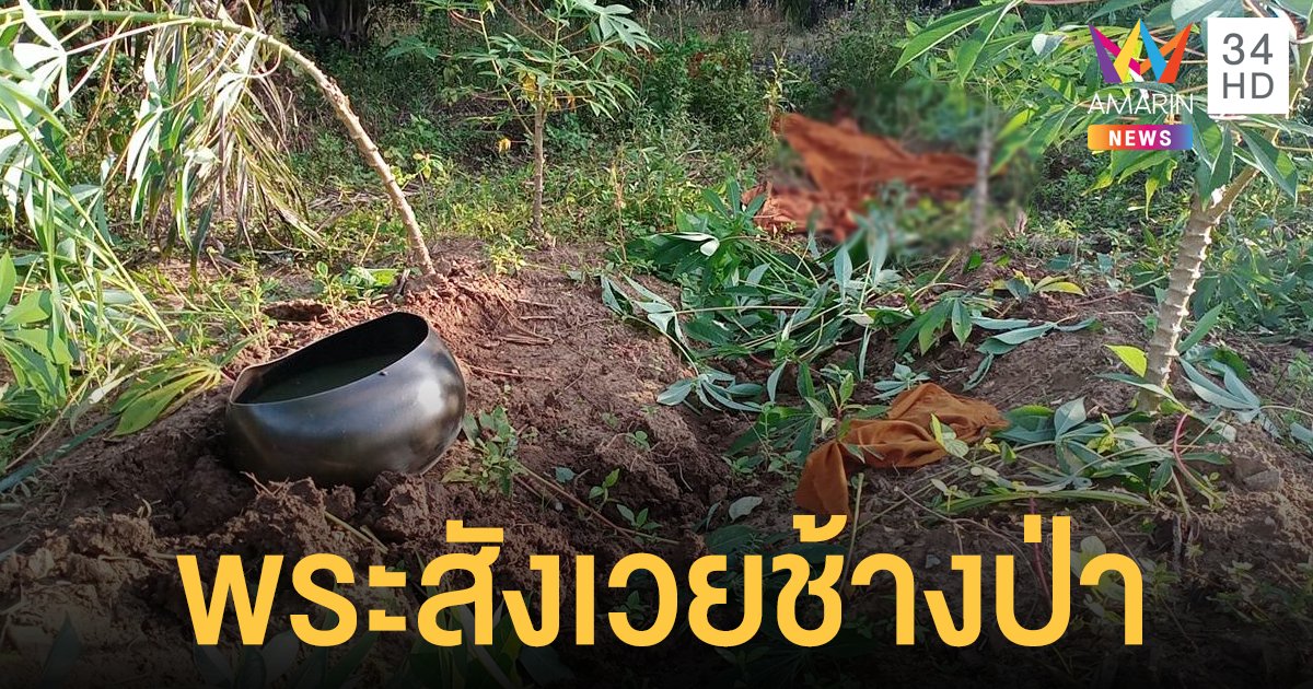 สลด! ช้างป่าเหยียบพระจนร่างฉีกขาด ขณะบิณฑบาต