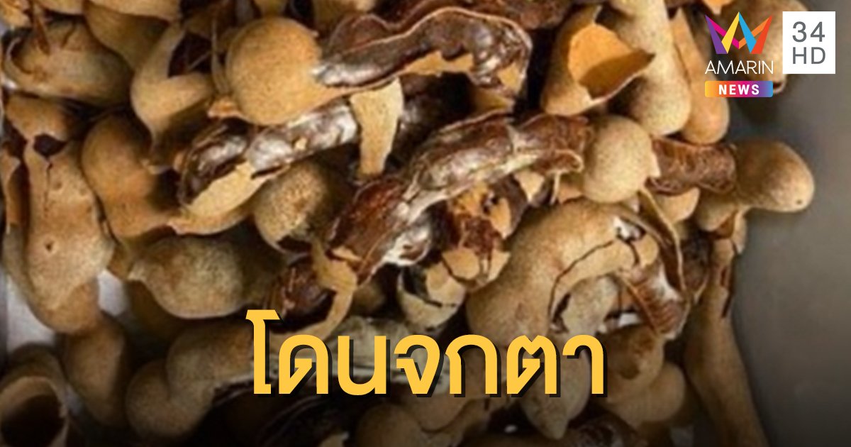 นทท. โวยซื้อมะขามหวานเพชรบูรณ์ 2 กก.ได้กินแค่ 7 ฝัก ที่เหลือขึ้นรา