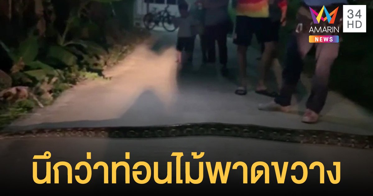 นึกว่าขอนไม้ขวางหน้าบ้าน ดูใกล้ ๆ ถึงผงะ! งูเหลือมยักษ์ 4 เมตรนอนแผ่หรา