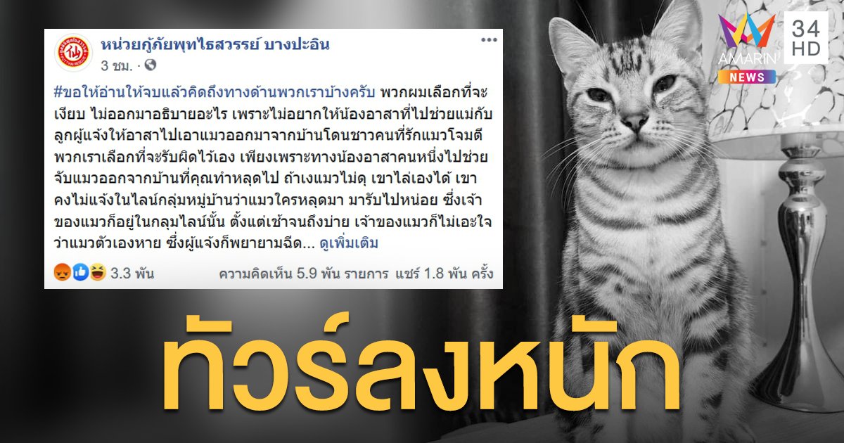 ทาสแมวจัดทัวร์เยี่ยมเพจกู้ภัยฯ จับแมวปล่อยทิ้งป่า เจ้าของใจสลายหลังพบเป็นศพ