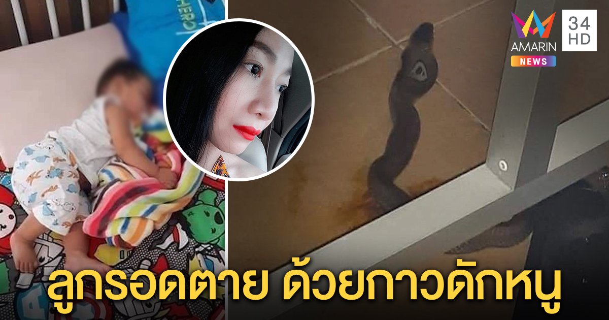 แม่ช็อก! เจองูเห่าเข้าบ้านห่างหัวลูกแค่คืบ โชคดีติดกาวดักหนู ช่วยรอดหวุดหวิด (คลิป)