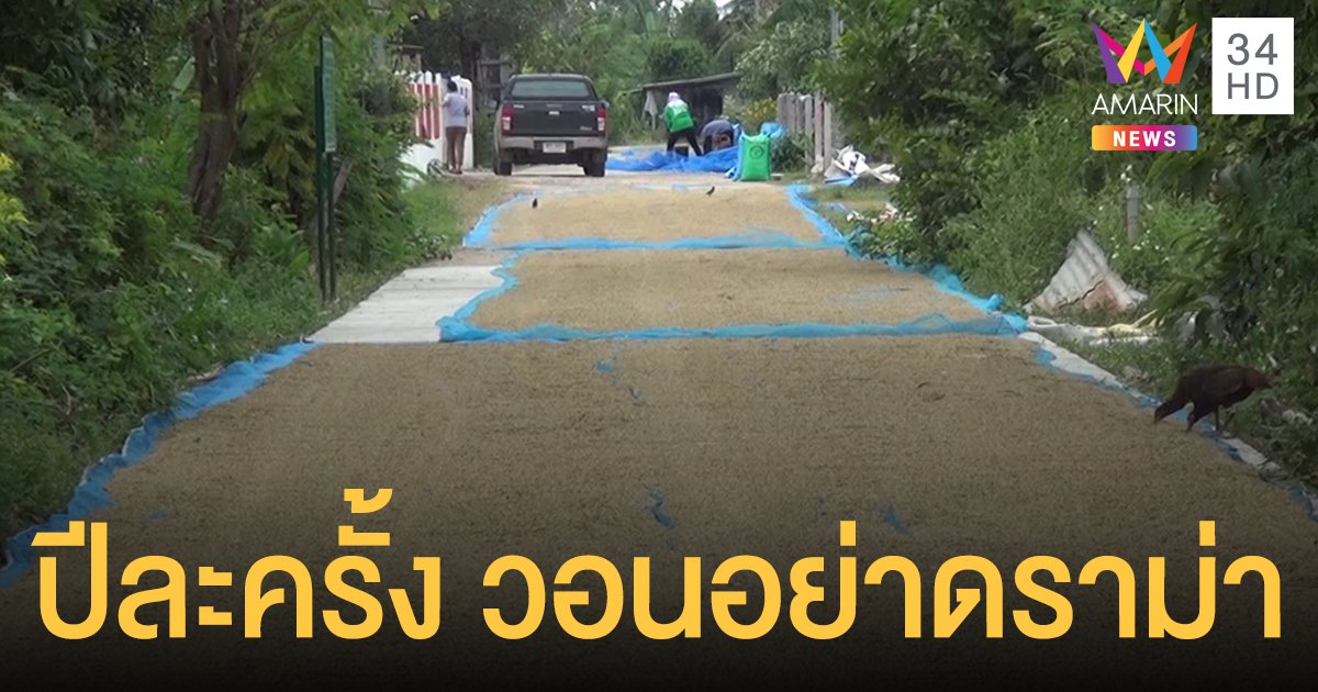 ชาวนายังตากข้าวเต็มถนนอ้างลานไม่พอ ชี้ทำปีละครั้งวอนอย่าดราม่า