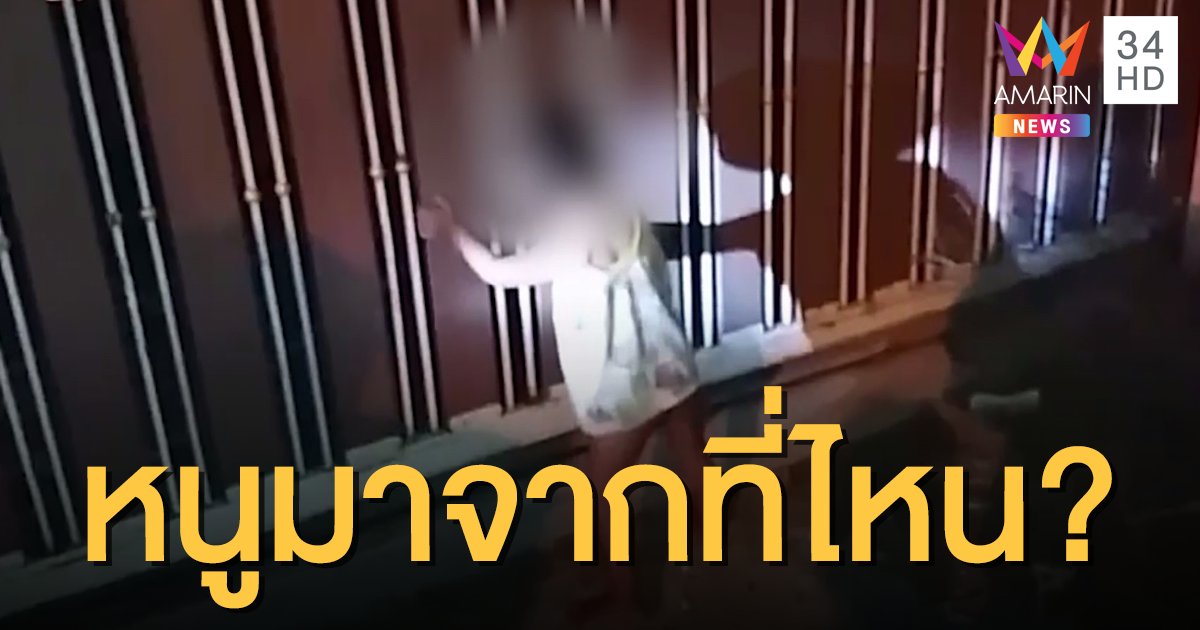 หนุ่มตกใจ เด็กขวบเศษมายืนกลางถนนตอนตี 3 พ่อแม่ไม่อยู่ที่บ้าน ทิ้งไว้กับหมาตัวเดียว