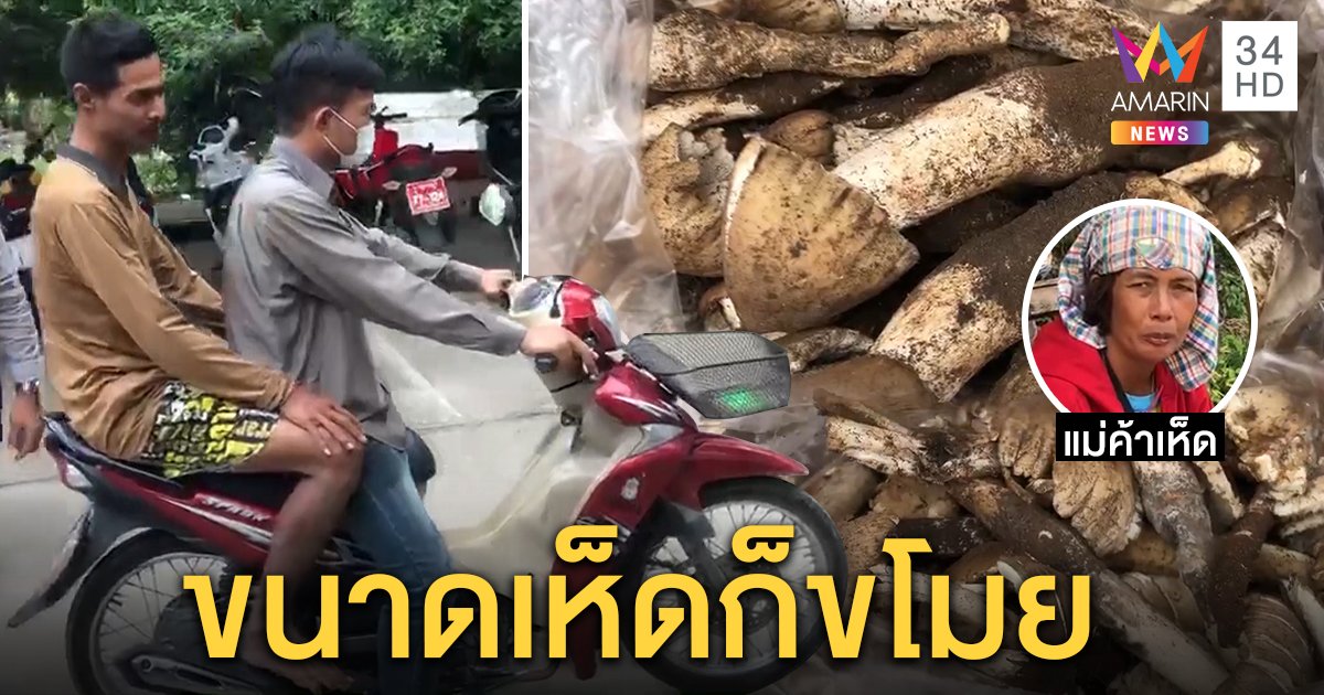 หาไม่ทันเลยขโมย! รวบ 2 โจรวิ่งราวเห็ดโคนแม่ค้าริมทาง กก.ละ 500 ฉกขายต่อ (คลิป)