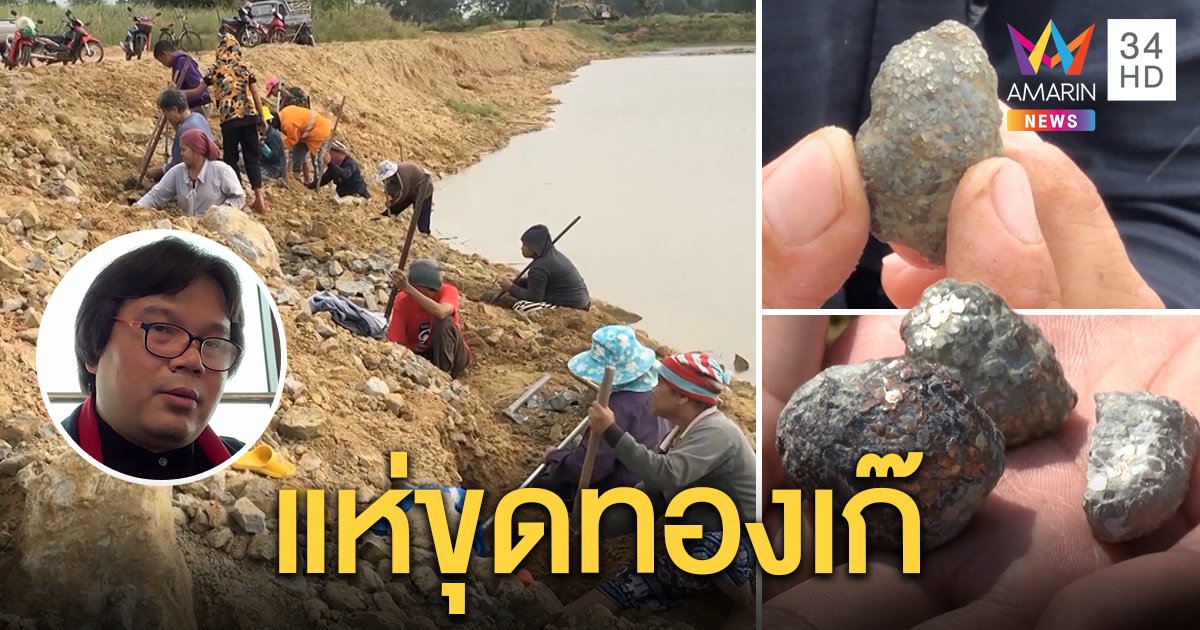 แห่ขุดขี้เหล็กไหล ชาวบ้านเชื่อของขลัง อ.อ๊อดชี้แค่หินโจรทำทองเก๊ (คลิป)