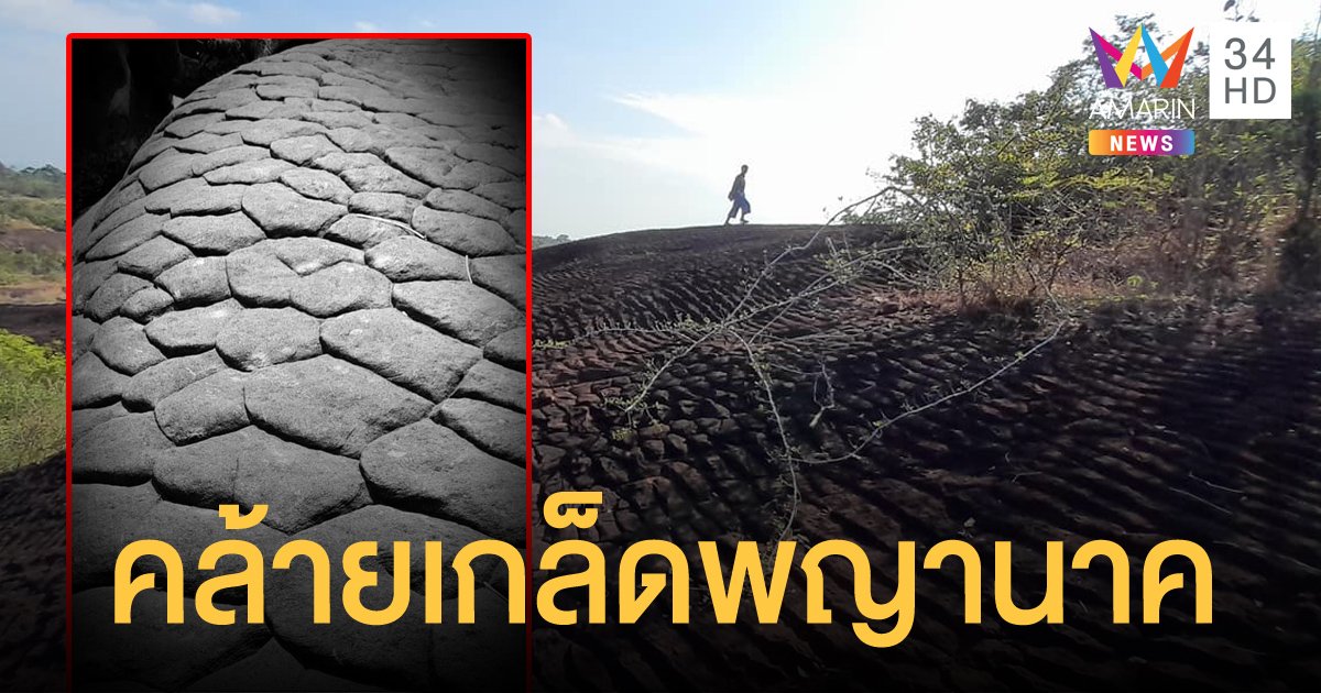 อัศจรรย์ "ภูวัว" จ.บึงกาฬ ลานหินด้านบนขึ้นเกล็ดคล้ายพญานาค