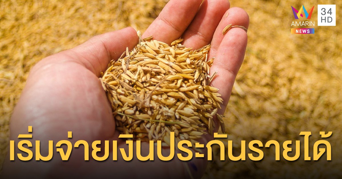 ดีเดย์วันนี้ ! ธ.ก.ส.เริ่มจ่ายเงินประกันรายได้ชาวนา ปี 63/64 รอบที่ 1