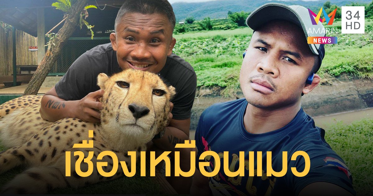 สวนเสือแจงดราม่า "บัวขาว" ถ่ายคู่ชีตาห์ ยันปลอดภัย เชื่องเหมือนแมว ไม่ได้ทารุณสัตว์