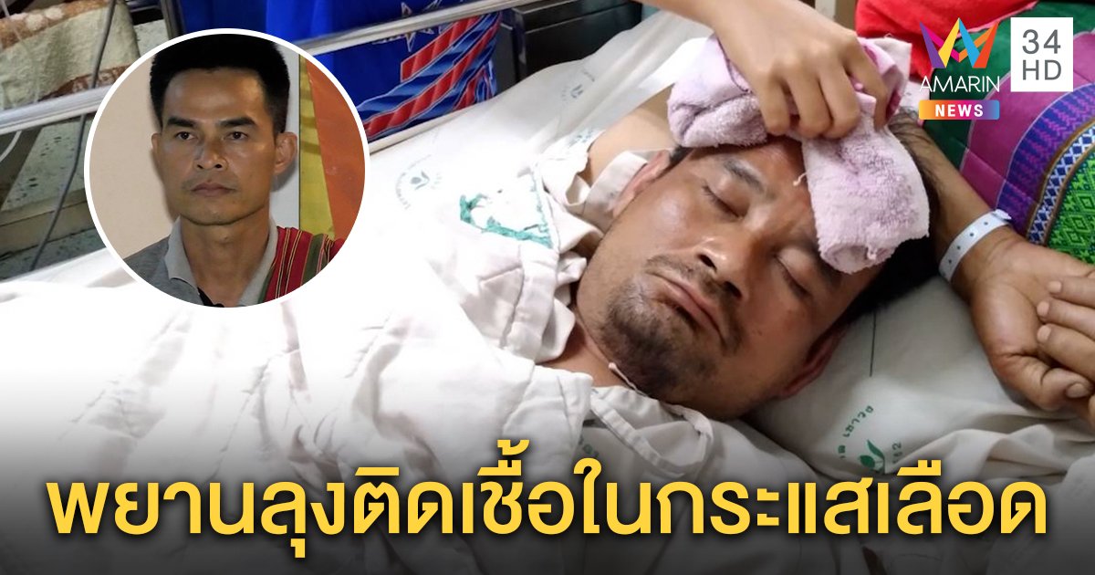 พยานปากเอกคดีชมพู่โคม่า ถูกเห็บป่ากัดอัณฑะ ติดเชื้อในกะแสเลือด (คลิป)