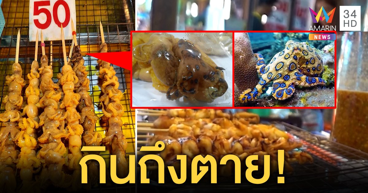 กินถึงตาย! “หมึกบลูริง” พิษร้าย เสียบไม้ขายตลาดนัด แม่ค้าเผยเป็นร้านหาบเร่ (คลิป)