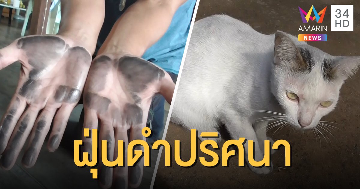 ดำยันแมว!! ชาวอ่างทองเดือดร้อนหนัก ฝุ่นสีดำปริศนาเกาะติดทั่วบ้าน หวั่นกระทบสุขภาพ
