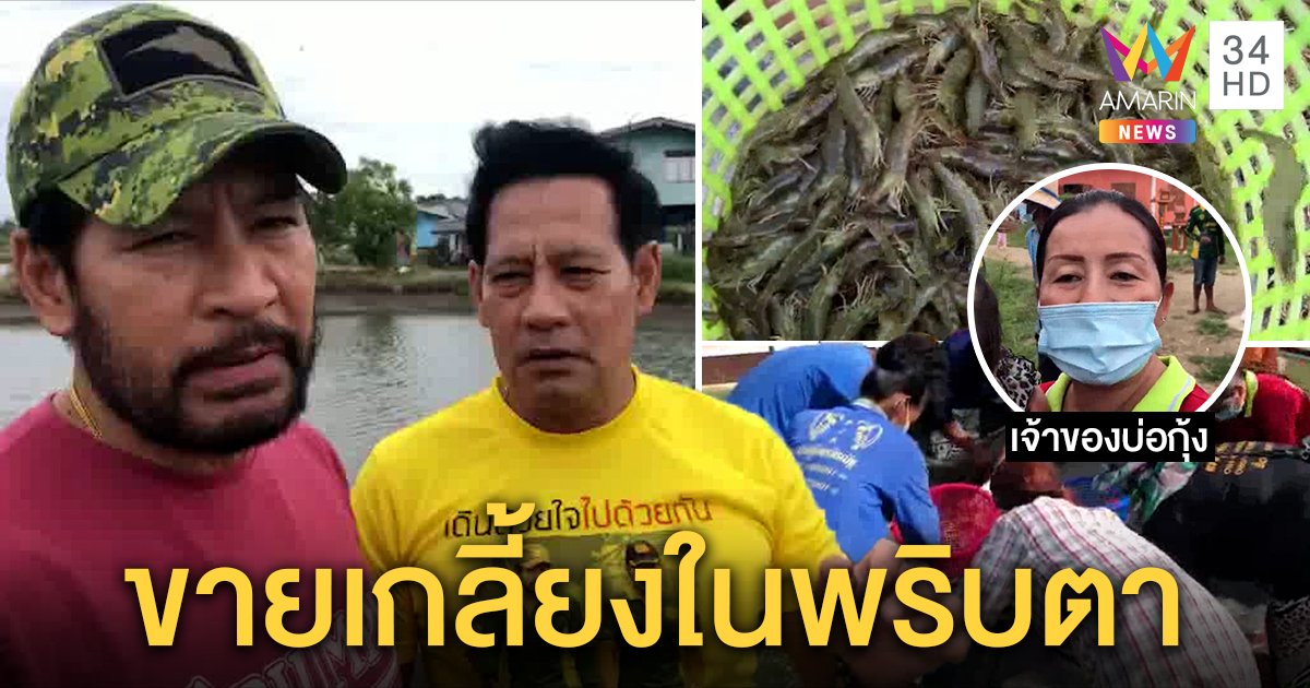 เจ้าของบ่อกุ้งปลื้ม ท็อป-ไทด์ เหมาซื้อถึงที่หลังคนผวาโควิด-19 ช่วยรอดทุนจมกว่าครึ่งแสน (คลิป)