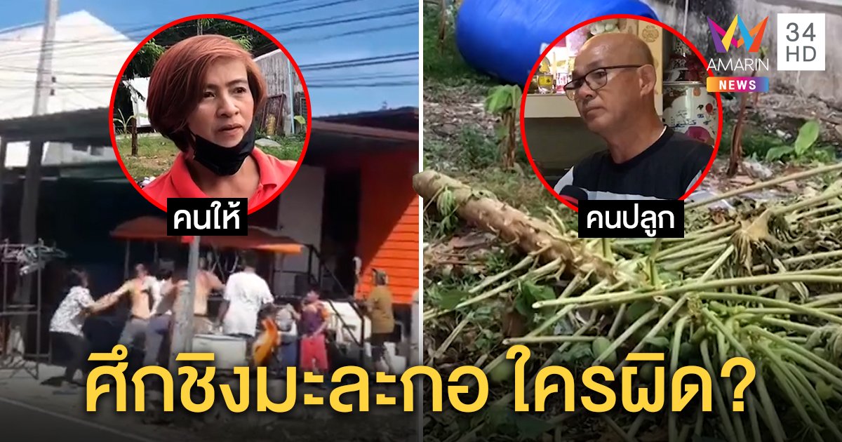 เปิดศึก 2 บ้านชิงลูกมะละกอบนที่ดินคนอื่น ตีกันยับ ซวยคู่คนปลูก - คนให้ผิดหมด (คลิป)