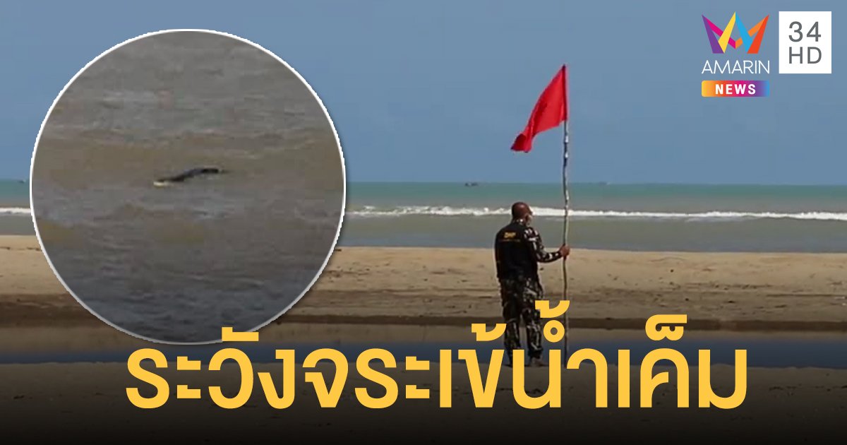 จระเข้น้ำเค็มยาว 3 เมตรโผล่อ่าวมะนาว เตือน ปชช.ห้ามเล่นน้ำเด็ดขาด