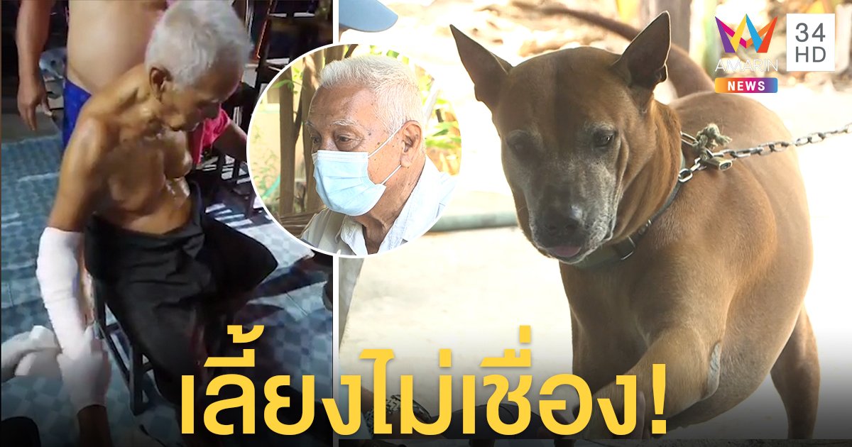 ระทึก! ตาให้ข้าวหมาโดนขย้ำ กลั้นใจล็อกคอสู้ พบประวัติกัดคนทั้งบ้านขอคนรับเลี้ยง (คลิป)