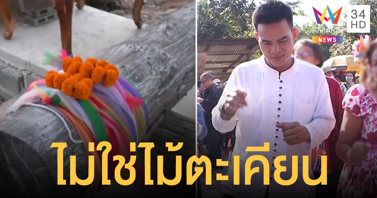 โป๊ะแตก!? "ตะเคียนลุงพล" กลายเป็น "ไม้มะค่า" ชาวบ้านกกกอกเผยรู้นานแล้ว