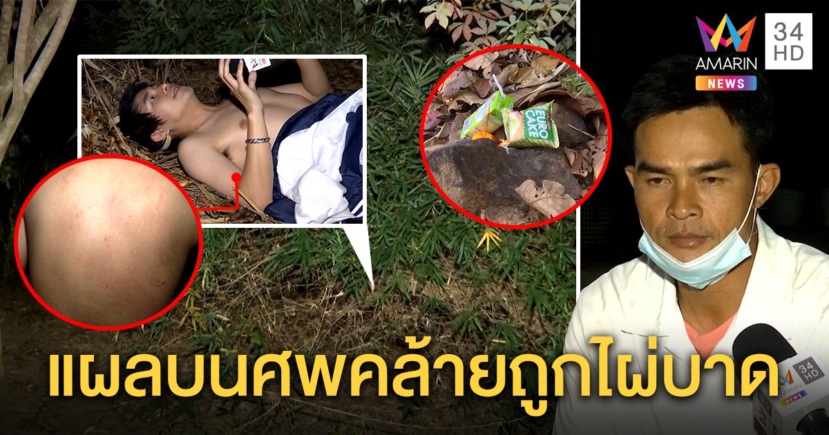 มุดโพรงไผ่พิสูจน์จุดชายปริศนาโผล่ อึ้งหญ้าบาดคล้ายศพชมพู่ ลุงพลปัดขึ้นเขาเซ่นเด็ก (คลิป)