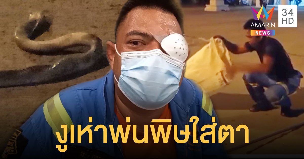 กู้ภัยเตือน ถูกงูเห่าพ่นพิษใส่ตา บอกจับมา 10 ปี ยังพลาดท่าจนได้