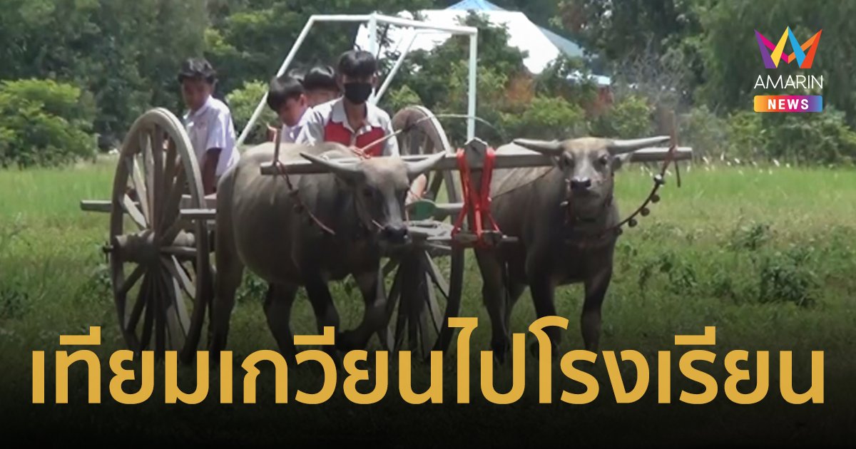 มิติใหม่ของการไปโรงเรียน! "น้องแต้ม" ชั้น ม.4 ขี่ควายเทียมเกวียนไปโรงเรียน
