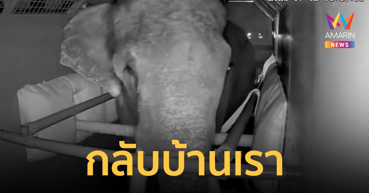 เผยคลิป "พลายศักดิ์สุรินทร์" บนเครื่องบิน IL-76 คาดถึงไทย บ่าย 2