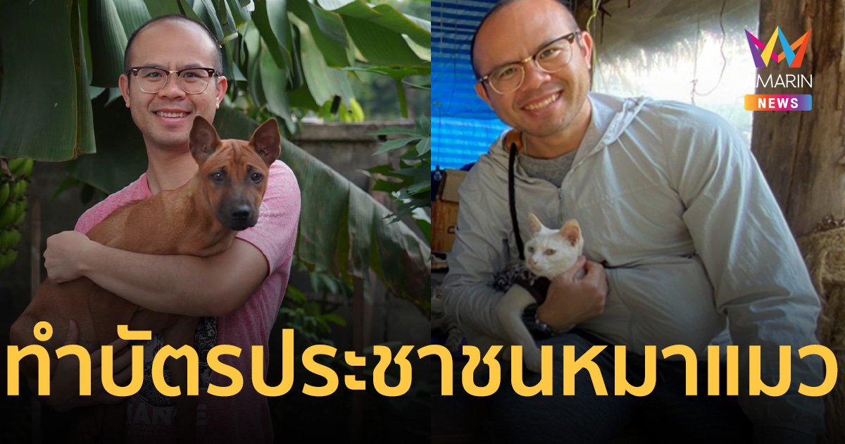 คนรักสัตว์ เตรียมเฮ “พรรคก้าวไกล” ทำ บัตรประชาชนหมาแมว