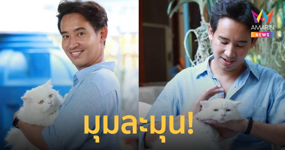 มุมละมุน! “พิธา” อุ้มน้อง แมว เนื่องใน วันกอดแมวสากล   