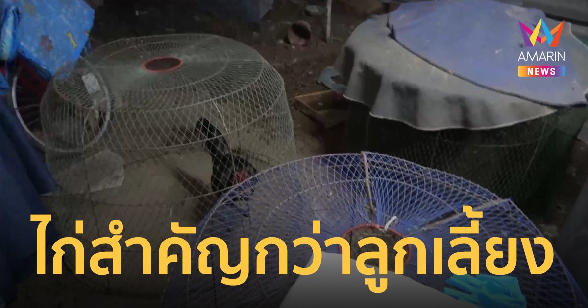ไก่หาย พ่อเลี้ยงฉุนลูกเลี้ยงแทงทีเดียวกับคากระท่อม อ้างป้องกันตัว เพราะลูกเลี้ยงติดยา