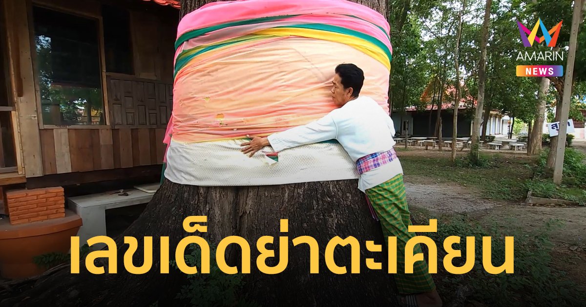 ทึ่ง! แห่ขอเลขต้นตะเคียนขนาด 7 คนโอบ อายุนับพันปี ต้นเดียวของ จ.ราชบุรี ที่ยังมีชีวิต