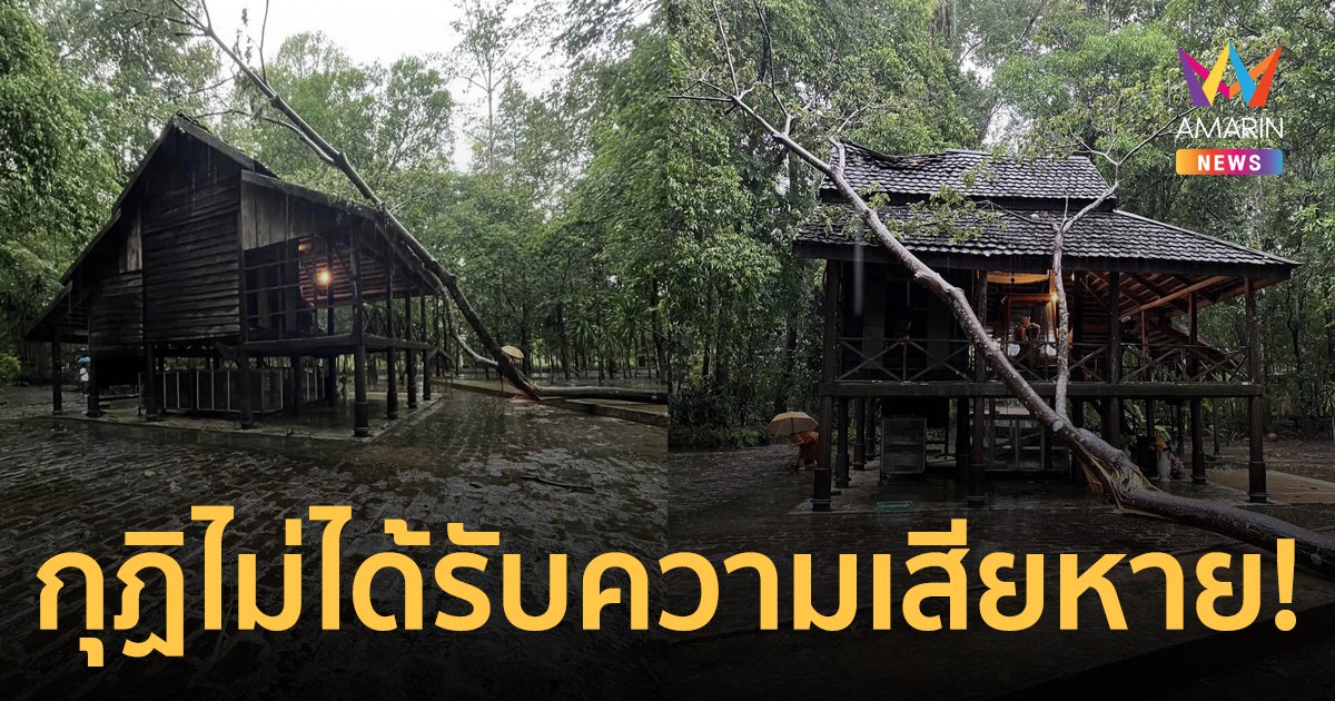 ฝนตกหนักต้นไม้ล้มทับกุฏิ "หลวงปู่มั่น” กุฏิไม่เป็นอะไร แต่ต้นไม้หัก 2 ท่อน