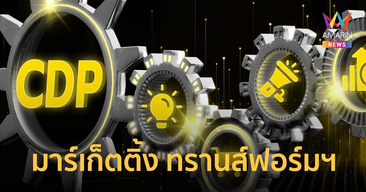 YDM ชี้ CDP กระดูกสันหลัง ของการทำ มาร์เก็ตติ้ง ทรานส์ฟอร์มฯ