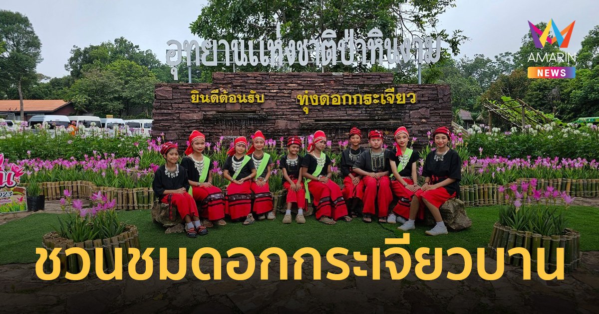 สัมผัสมหัศจรรย์ธรรมชาติดอกกระเจียวบานท่ามกลางขุนเขาและสายหมอก หนึ่งเดียวที่ชัยภูมิ