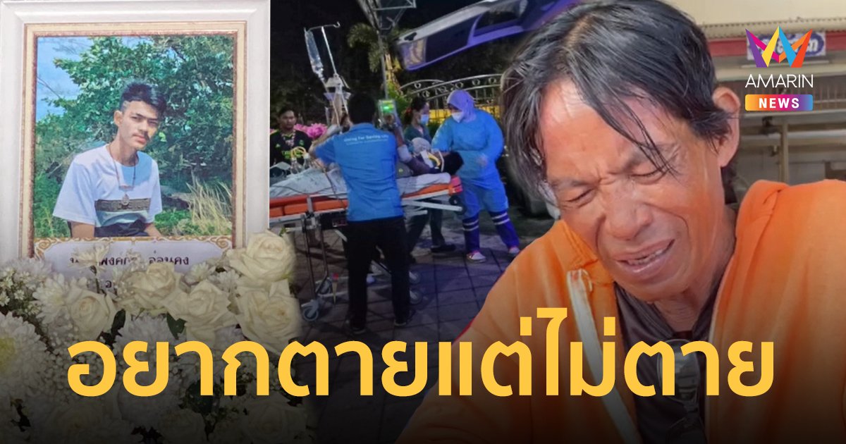 ลูกชายถูกคู่อริแทงดับ พ่อเสียใจหนักแอบไปผูกคอตาย โชคดีลิงช่วยชีวิตทันแกะเชือกให้