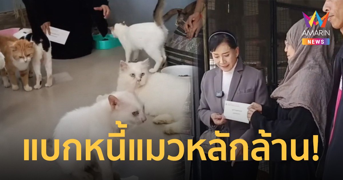 รุดช่วยสาวใจบุญติดหนี้ 1.3 ล้าน หลังรับเลี้ยงแมวจรแบกภาระค่าอาหาร-รักษาแมว