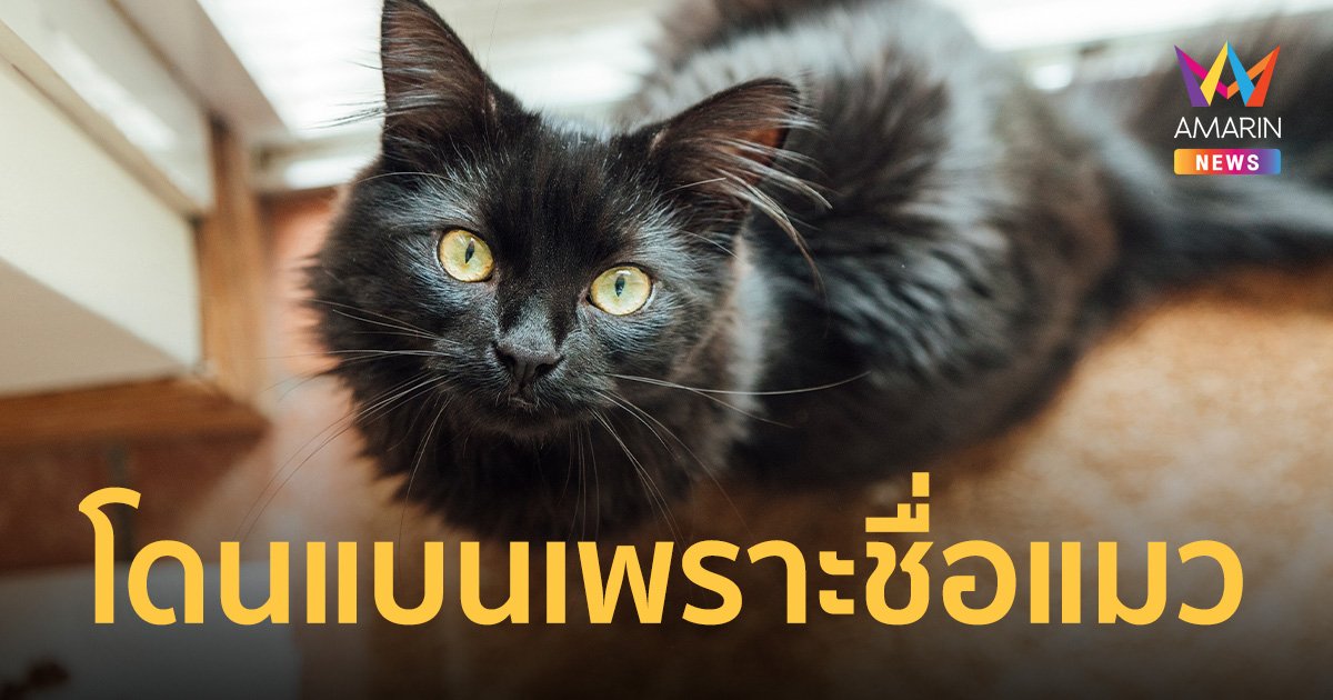 หนุ่มโดนแบนจากกลุ่มคนรักแมว หลังแชร์รูปน้องแมวสีดำ เหตุชื่อน่ารังเกียจ