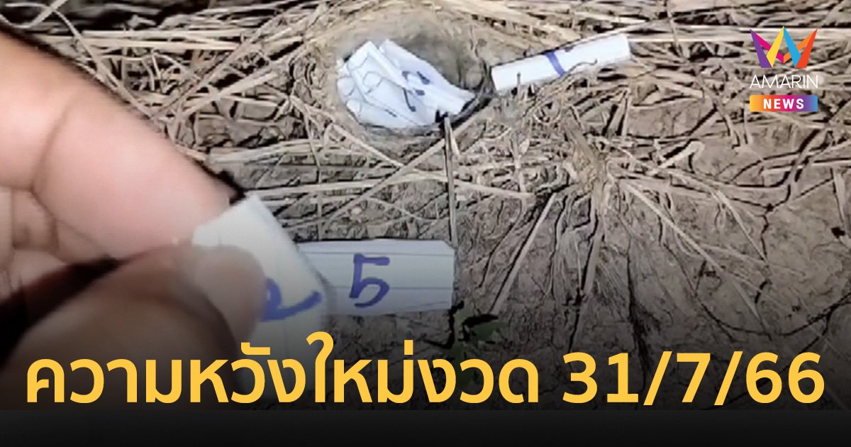 ความหวังงวด 31/7/66 พญาบึ้งรูใหม่ รอใจแทบขาด 2 ชม. แต่ก็ได้เลขเด็ดเน้นๆ
