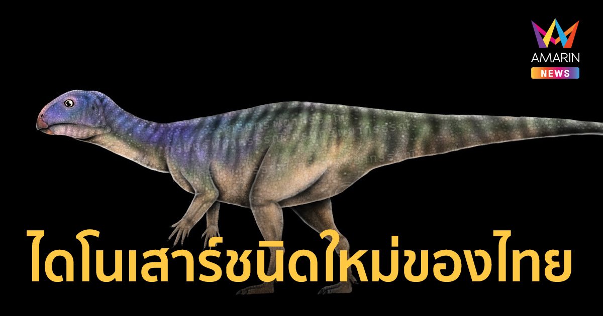 ไทย พบ ไดโนเสาร์ชนิดใหม่ มินิโมเคอร์เซอร์ ภูน้อยเอนซิส อายุ 150 ล้านปี