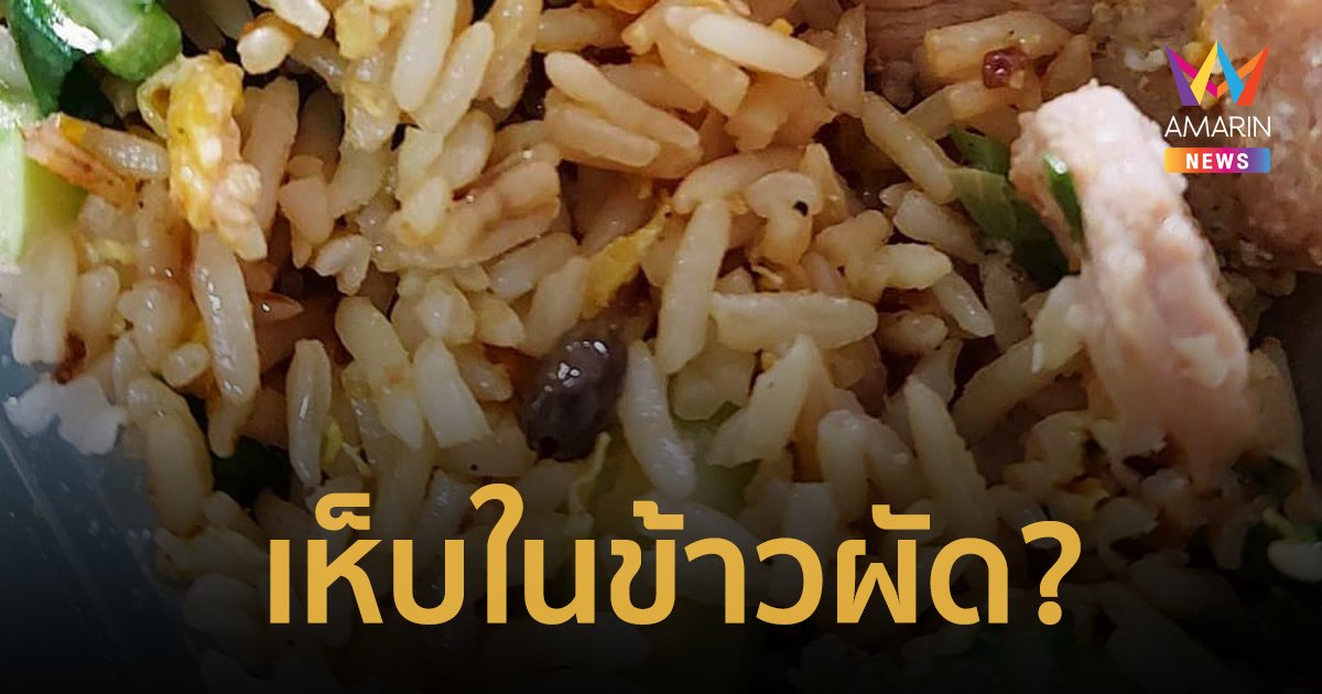 อ้วกแทบพุ่ง! ข้าวผัดสูตรใหม่ เจอสิ่งแปลกปลอมคล้าย "เห็บหมา" อยู่ในข้าวผัด