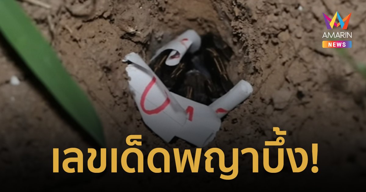 เลขเด็ด 31/7/66 แห่ส่องเลขเด็ดพญาบึ้งให้โชค เตรียมเป็นเศรษฐีใหม่งวดนี้