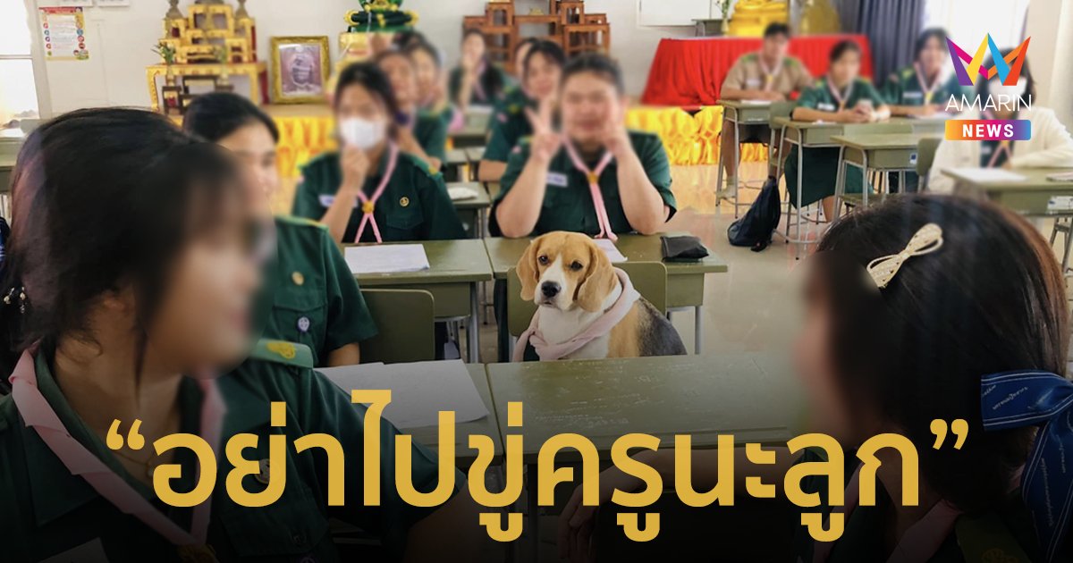 จะเอาแบบนี้ใช่ไหม! น้องหมาเห่าช่างซ่อมบ้านไม่หยุด เลยต้องจับมาเรียนหนังสือ