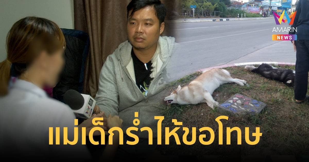 แม่เด็กร่ำไห้ ขอโทษที่ลูกซน แต่ถูกประจานจนแพนิคกำเริบเข้าโรงพยาบาล