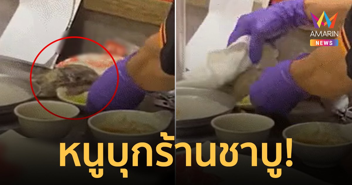 ประสบการณ์กินชาบูสุดสยอง! หนูตัวยักษ์ตกจากฝ้าเพดานกลางวงสังสรรค์